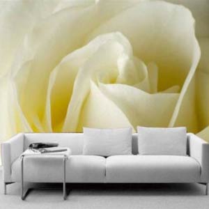 沙發(fā)無(wú)紡布