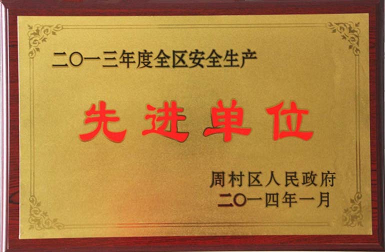 全區(qū)安全生產(chǎn)先進單位