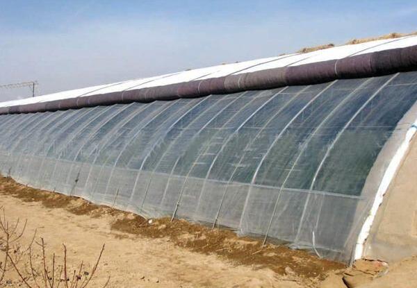 農(nóng)用無紡布大棚保溫被